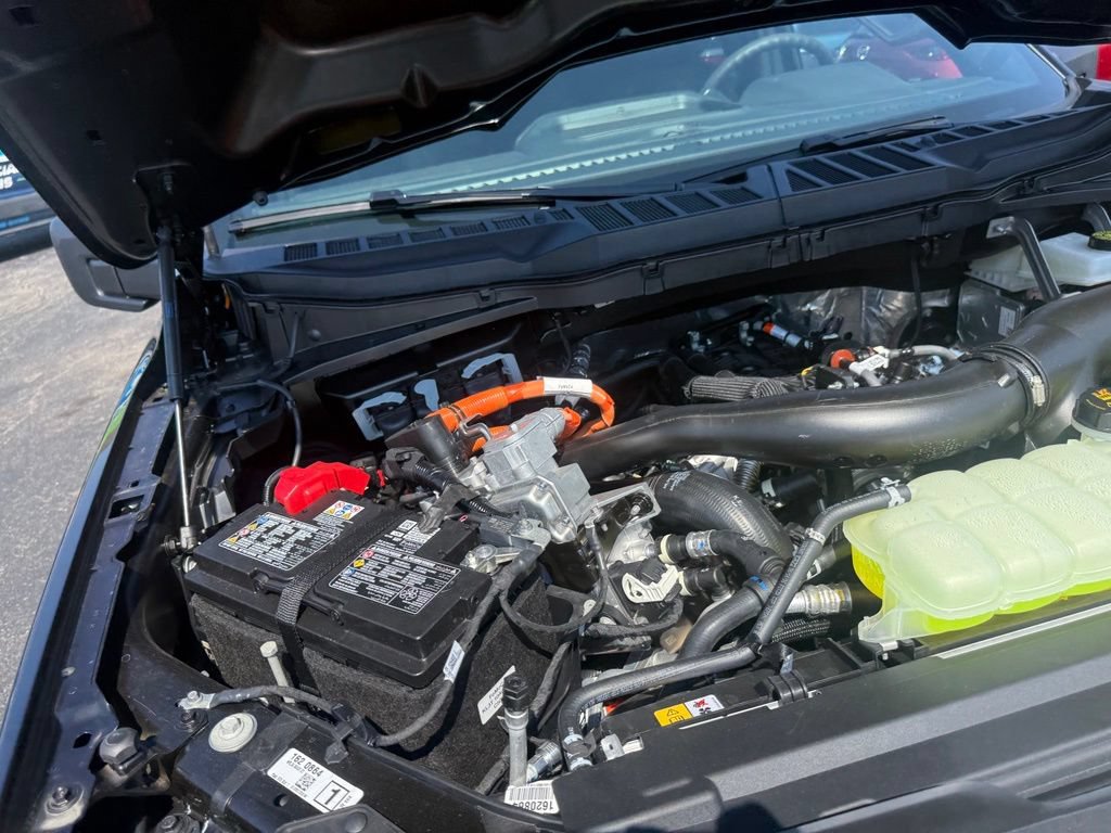 New 2026 Ford F150 STX w/ Equipment Group 200A AWD/4WD image 60