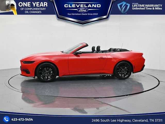 New 2026 Ford Mustang Convertible w/ Mustang Nite Pony Package RWD image 8