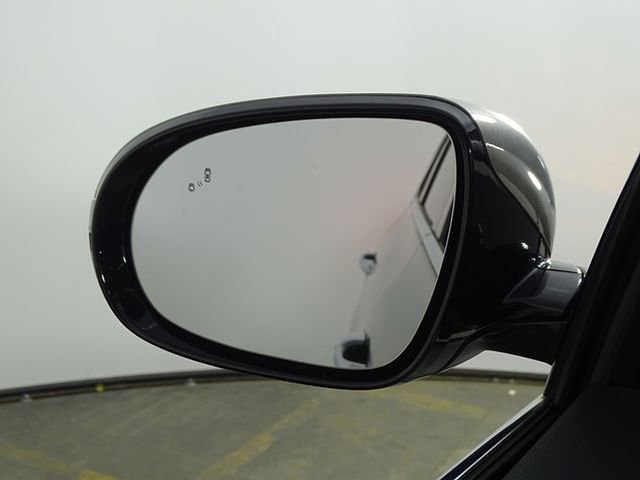 Used 2019 Kia Sorento SX image 43