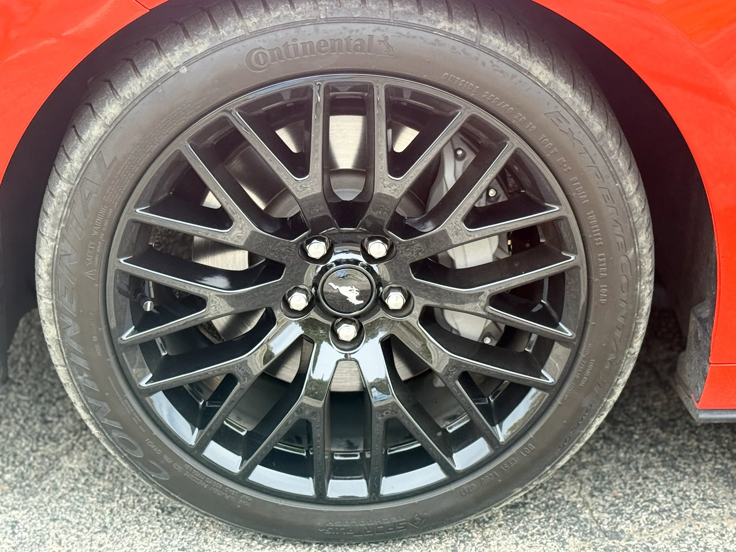 Used 2015 Ford Mustang GT Premium w/ Equipment Group 401A image 9