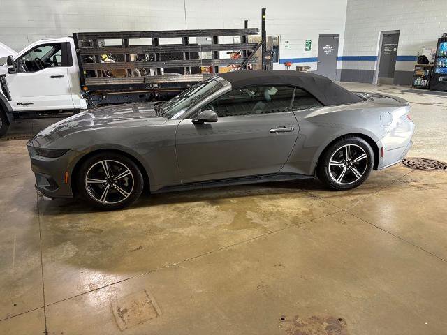 Certified 2025 Ford Mustang Premium image 7