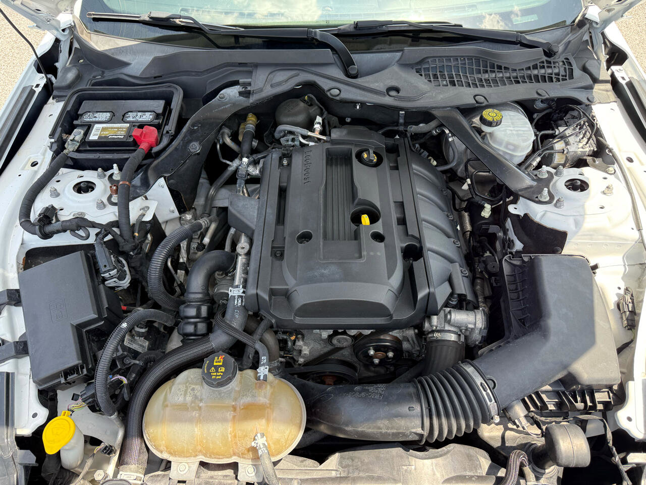 Used 2019 Ford Mustang Premium image 18