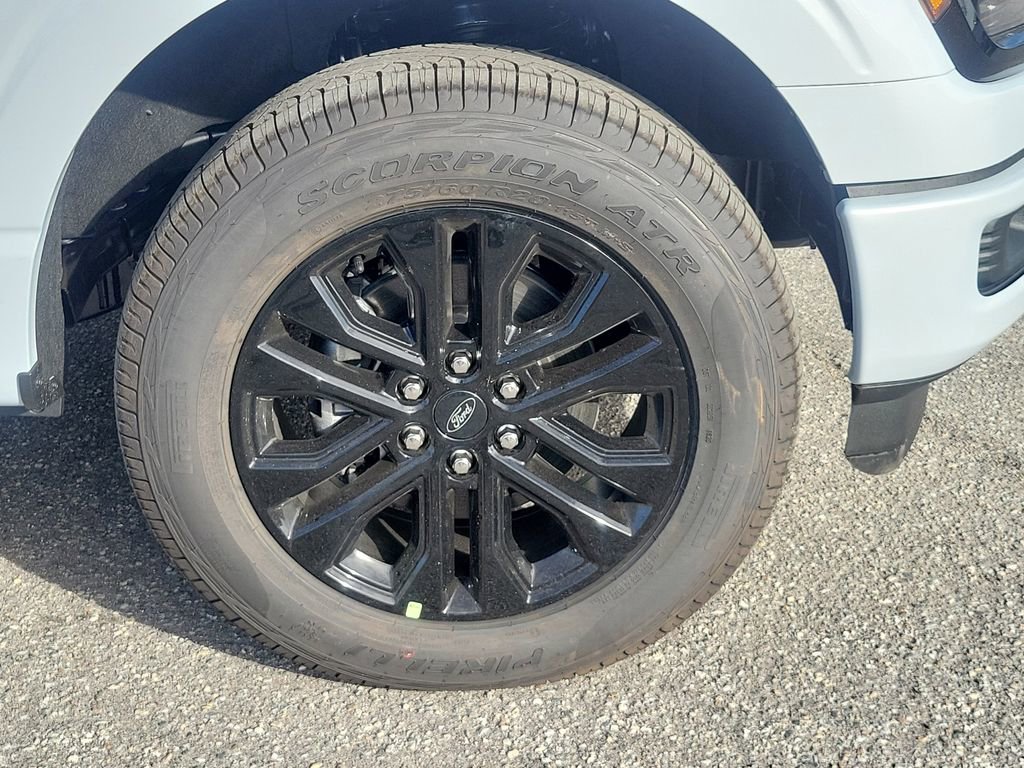 New 2025 Ford F150 XLT w/ Equipment Group 302A MID image 7