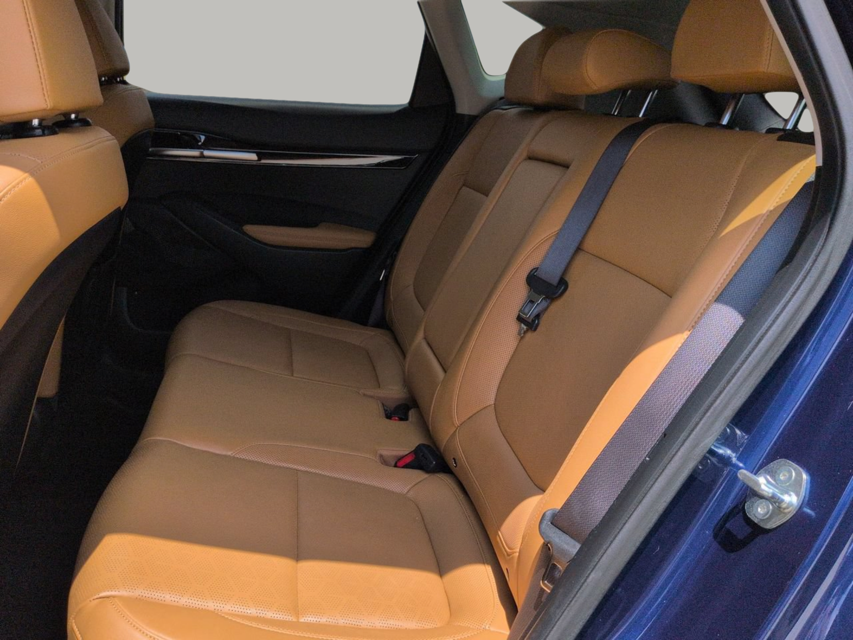 Certified 2024 Kia Seltos EX FWD image 18