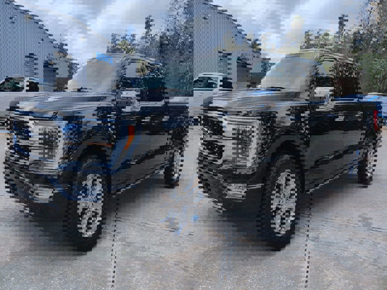 Used 2023 Ford F150 Platinum image 8