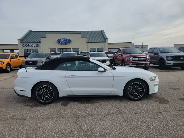 Used 2022 Ford Mustang Premium image 19