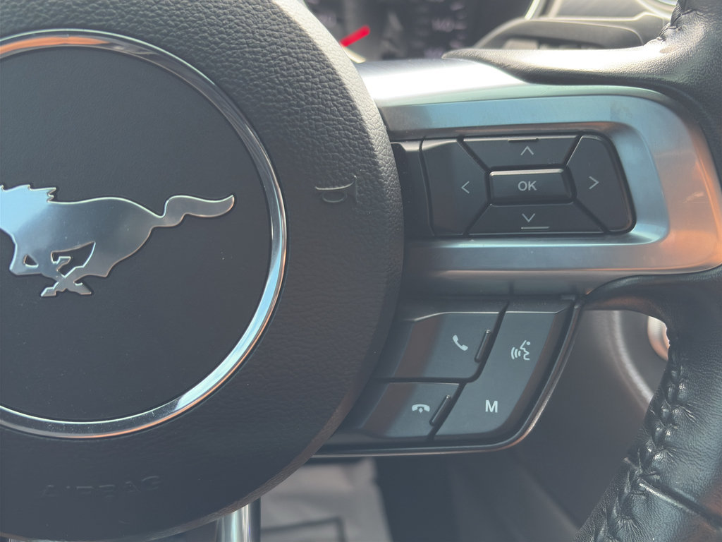 Used 2023 Ford Mustang Premium RWD image 13