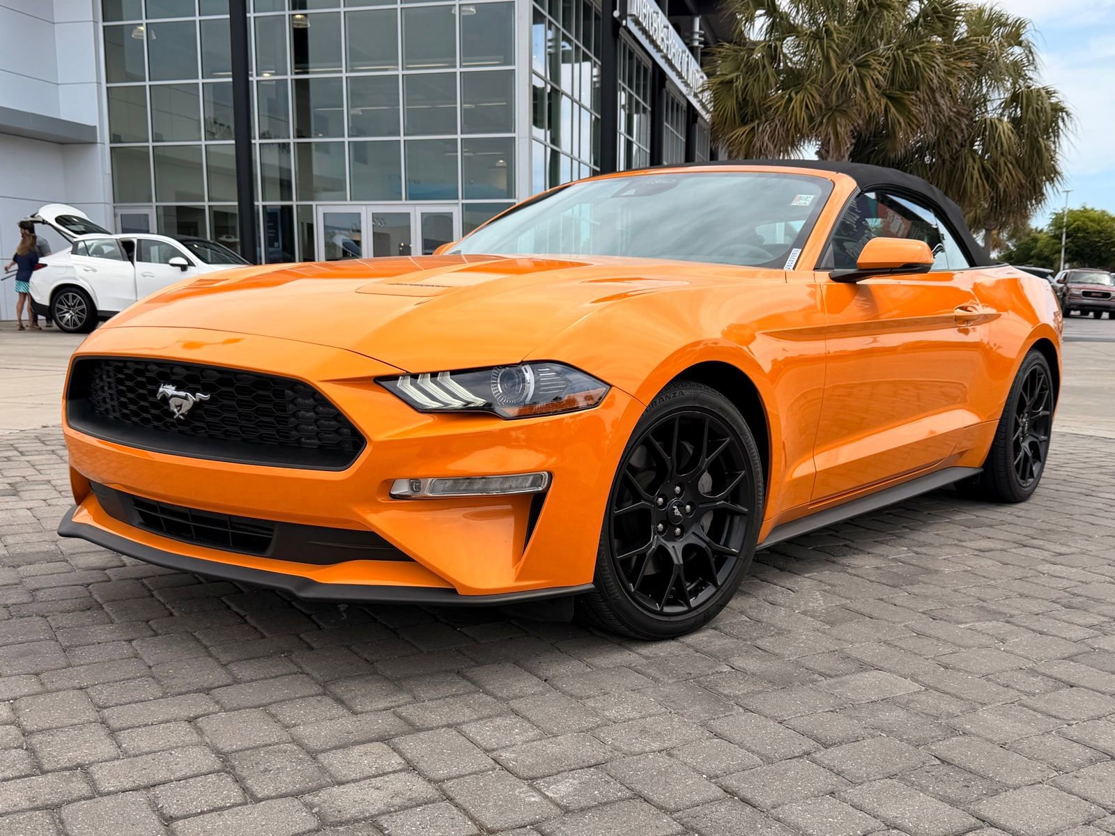 Used 2018 Ford Mustang Premium w/ Ecoboost Performance Package RWD image 1