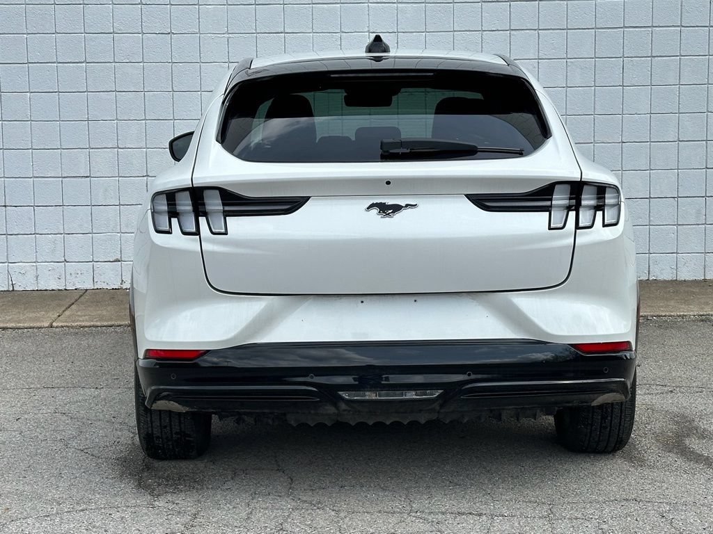 New 2025 Ford Mustang Mach-E Premium w/ Sport Appearance Package AWD/4WD image 5