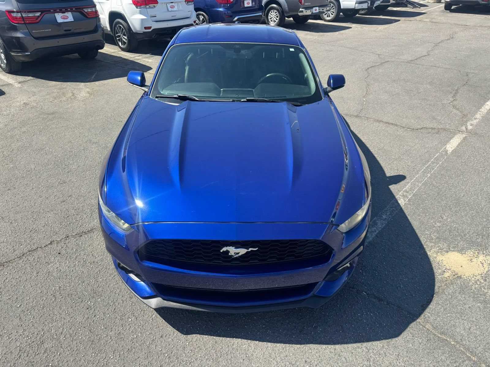 Used 2015 Ford Mustang Premium w/ Equipment Group 201A RWD image 15