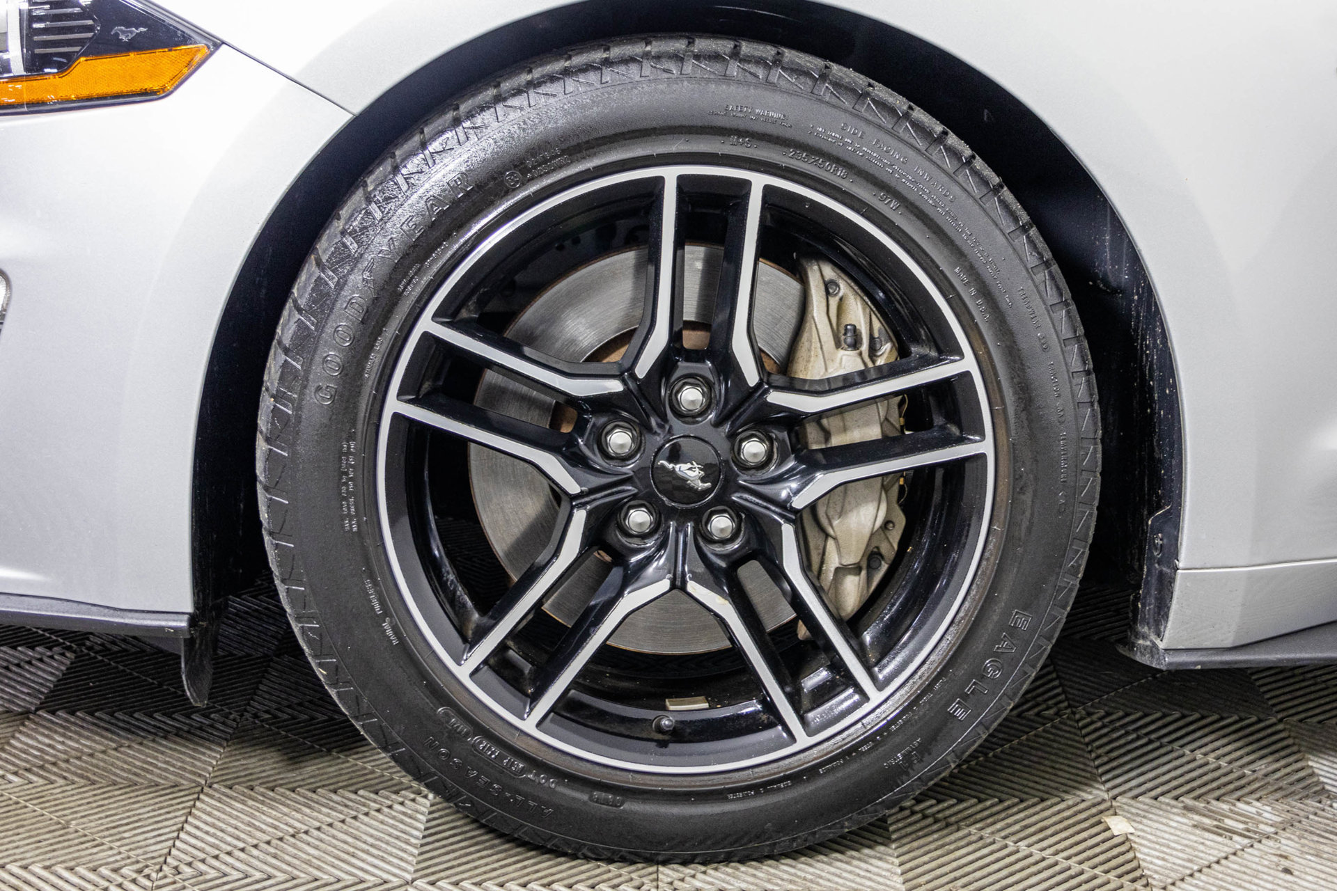 Used 2019 Ford Mustang GT Premium RWD image 46