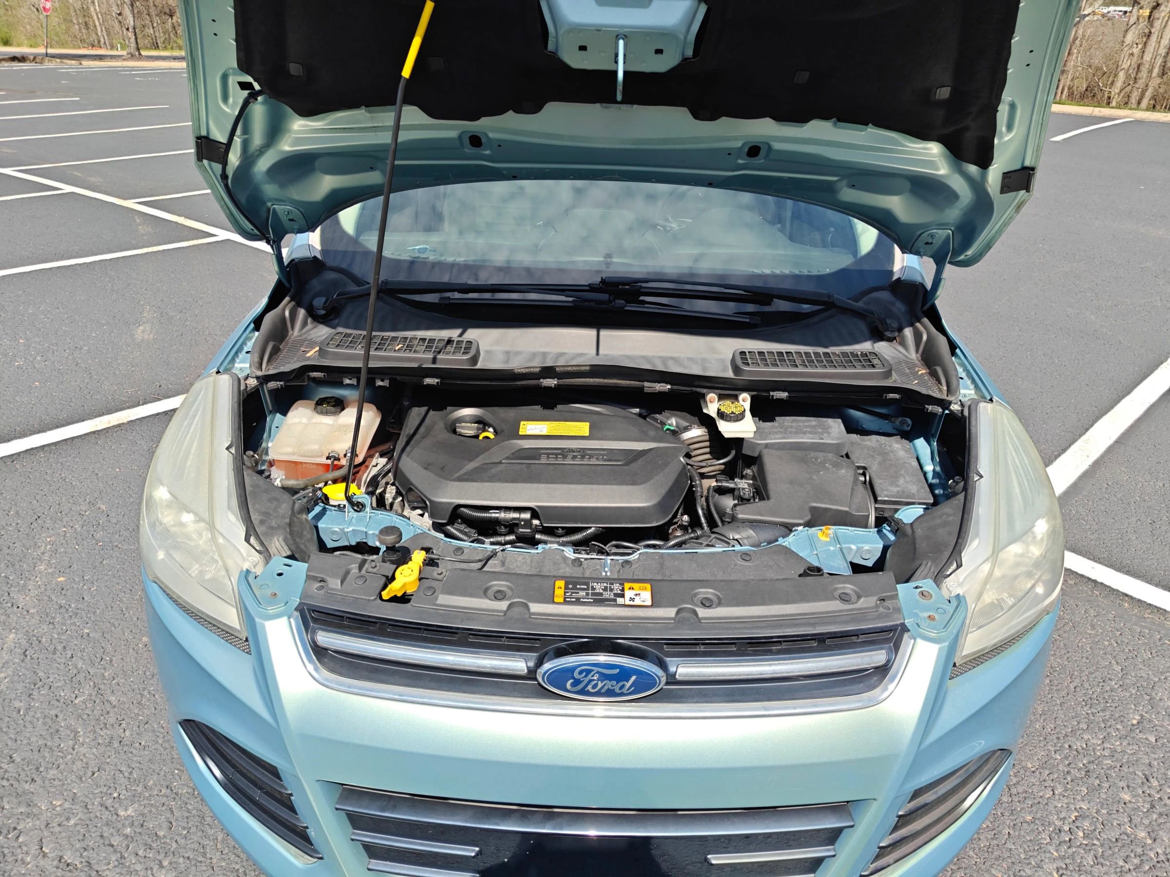 Used 2013 Ford Escape SEL image 18