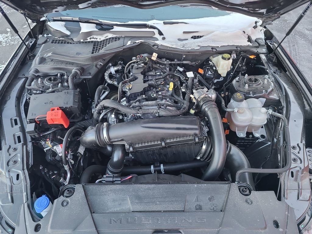 Used 2024 Ford Mustang Premium image 43