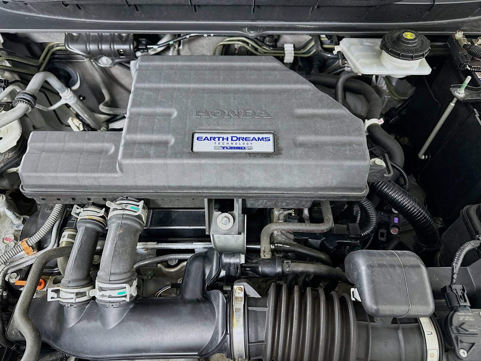 Used 2019 Honda CR-V EX image 12