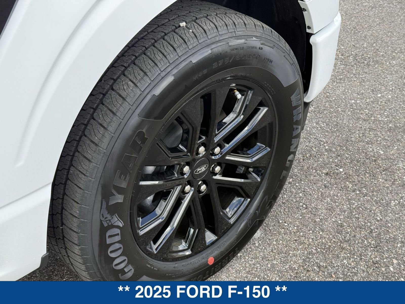 New 2025 Ford F150 XLT w/ Equipment Group 302A MID RWD image 13