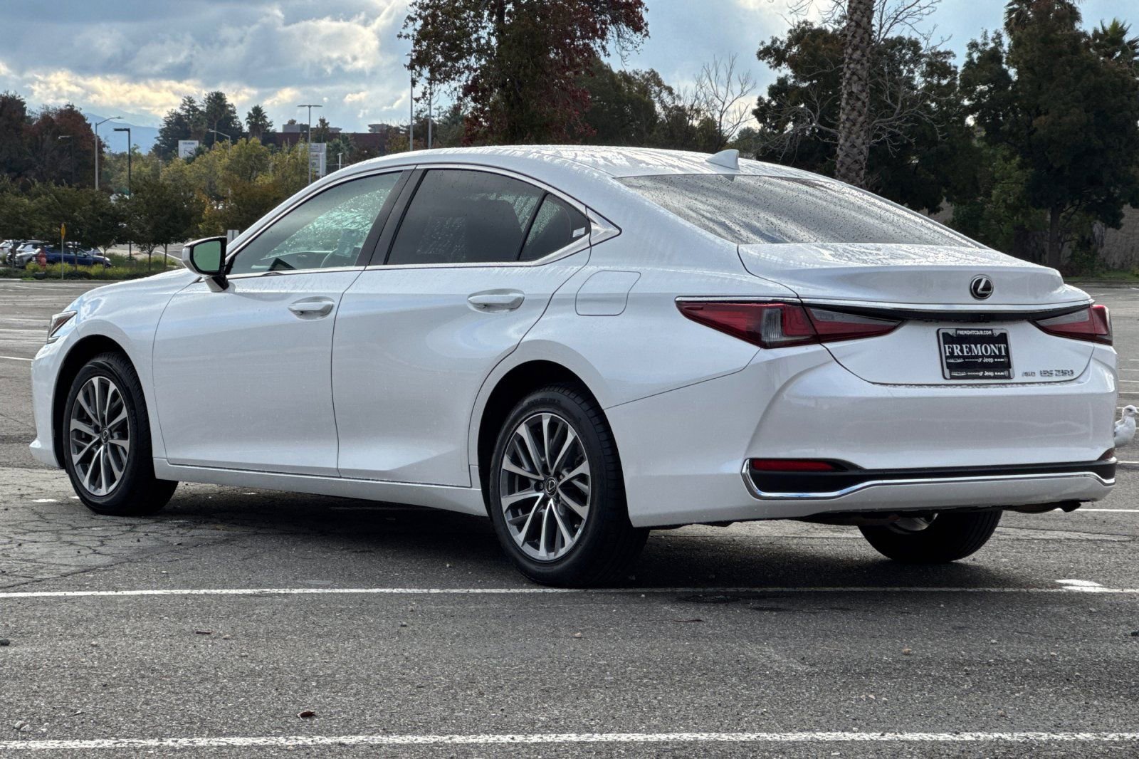 Used 2022 Lexus ES 250 w/ Accessory Package 2 AWD/4WD image 5