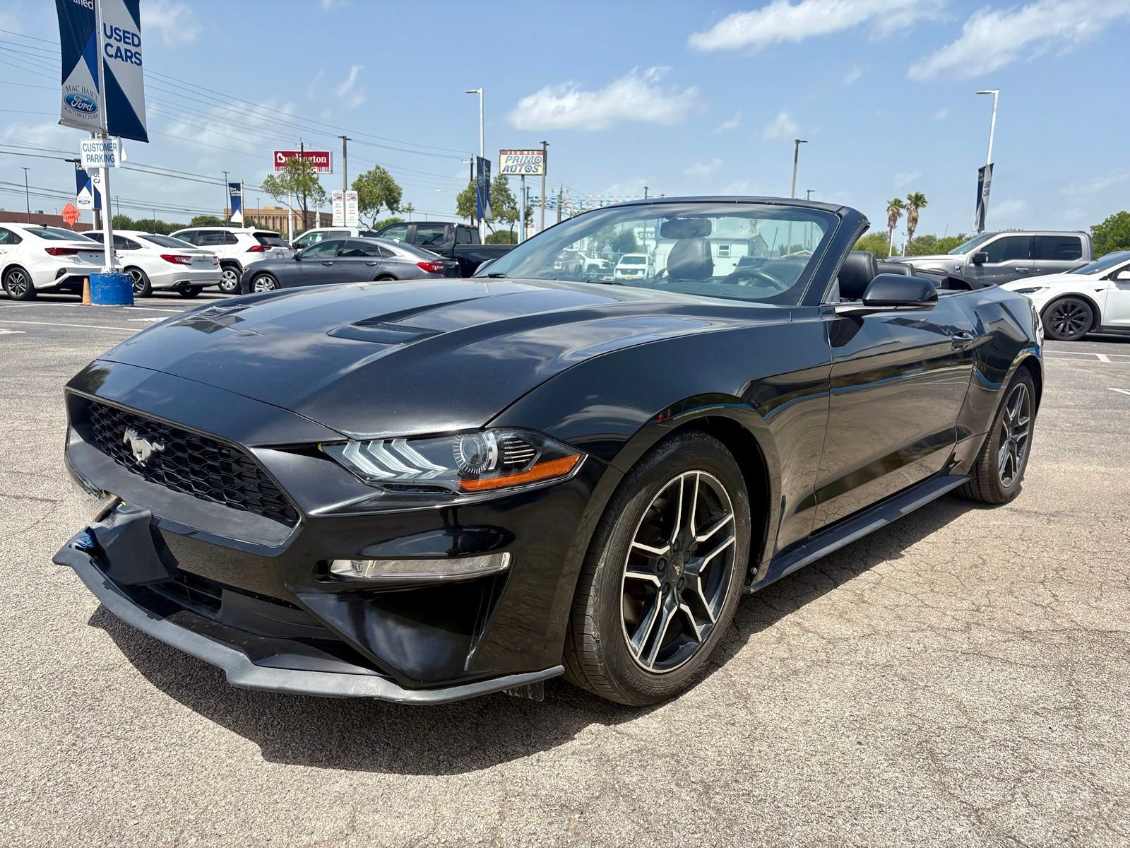 Used 2018 Ford Mustang Premium w/ Equipment Group 201A RWD image 9