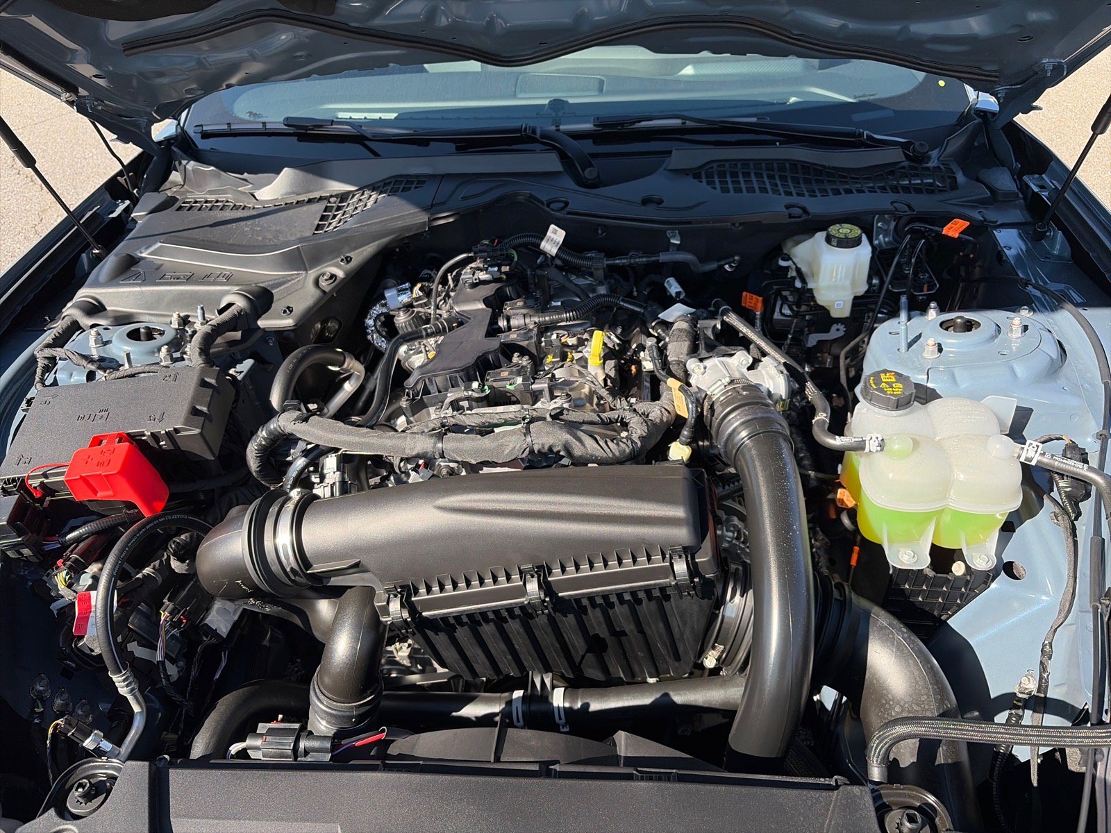 New 2026 Ford Mustang Premium RWD image 19
