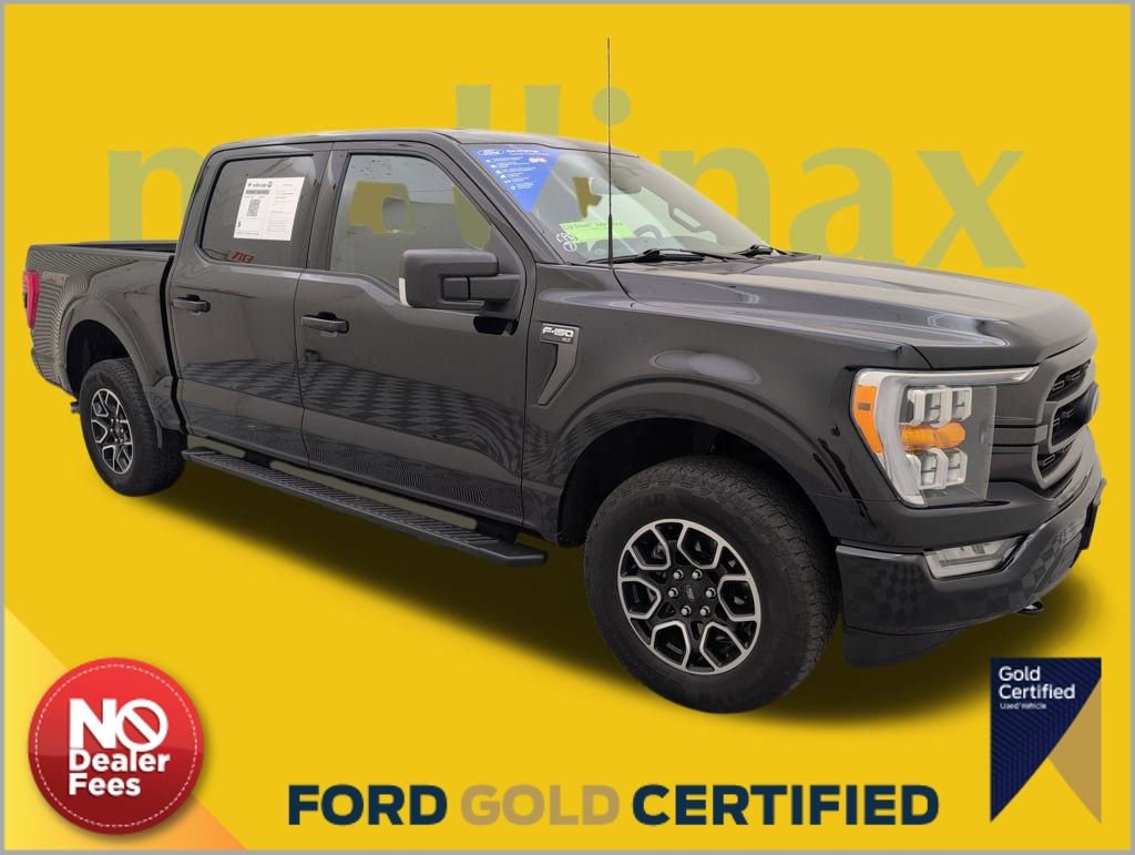 Used 2022 Ford F150 XLT w/ Equipment Group 302A High