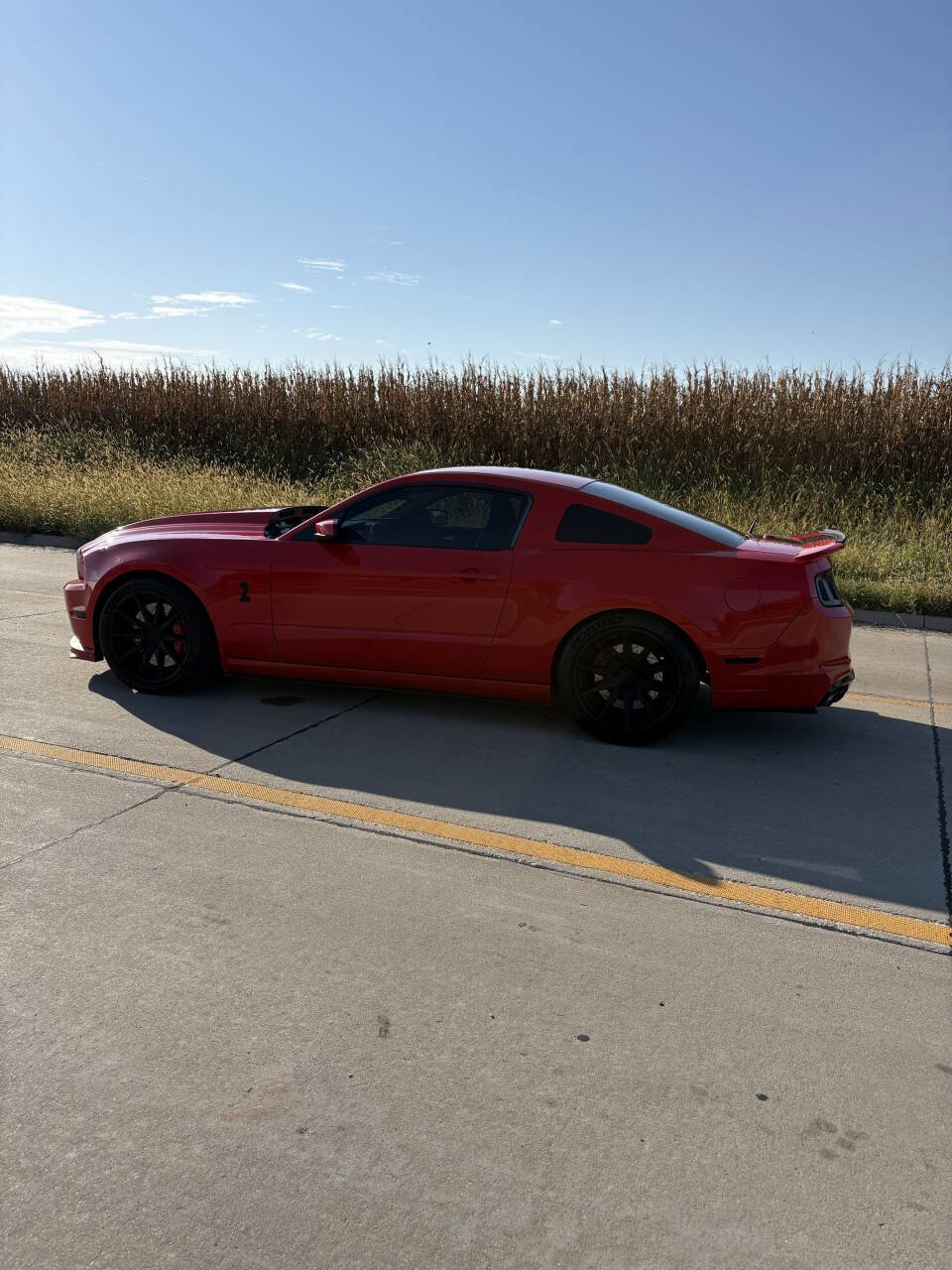 Used 2014 Ford Mustang Shelby GT500 w/ Equipment Group 821A image 5