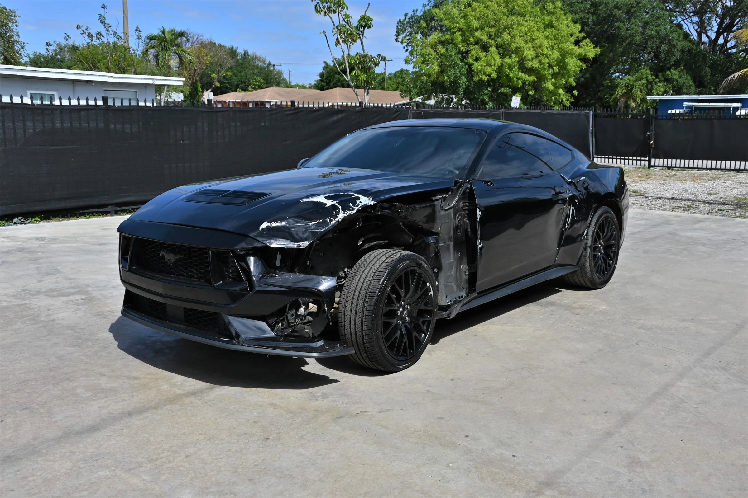 Used 2024 Ford Mustang GT w/ Mustang Nite Pony Package RWD image 2