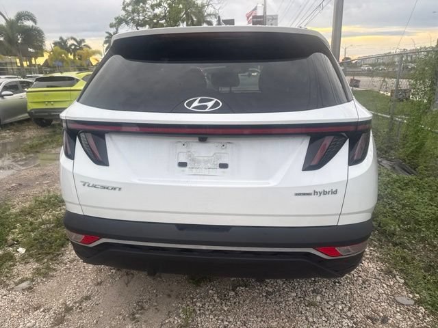 Used 2024 Hyundai Tucson SEL AWD/4WD image 7