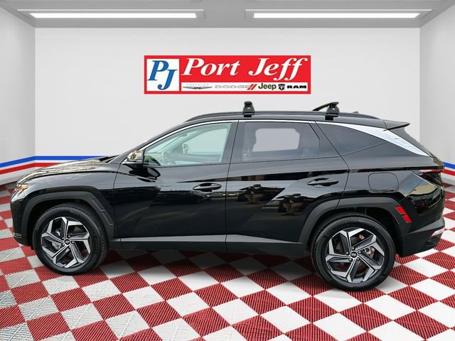 Used 2024 Hyundai Tucson Limited image 6