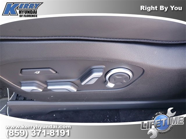 New 2026 Hyundai Ioniq 9 Calligraphy image 17