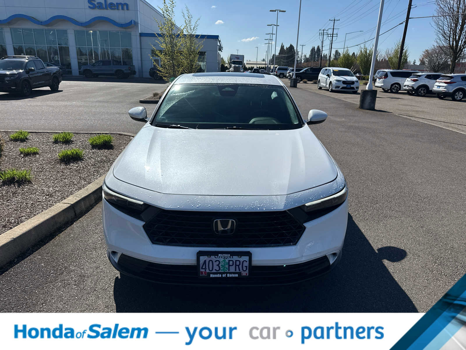 Used 2023 Honda Accord EX image 6