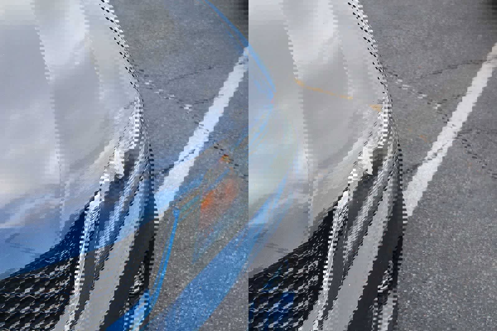 Used 2013 Honda Accord EX-L image 14