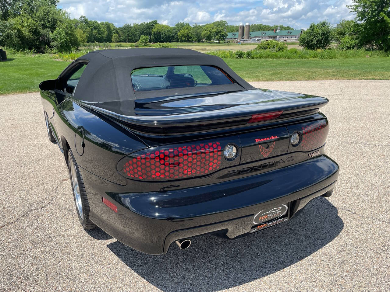 Used 1999 Pontiac Firebird Trans Am RWD image 5