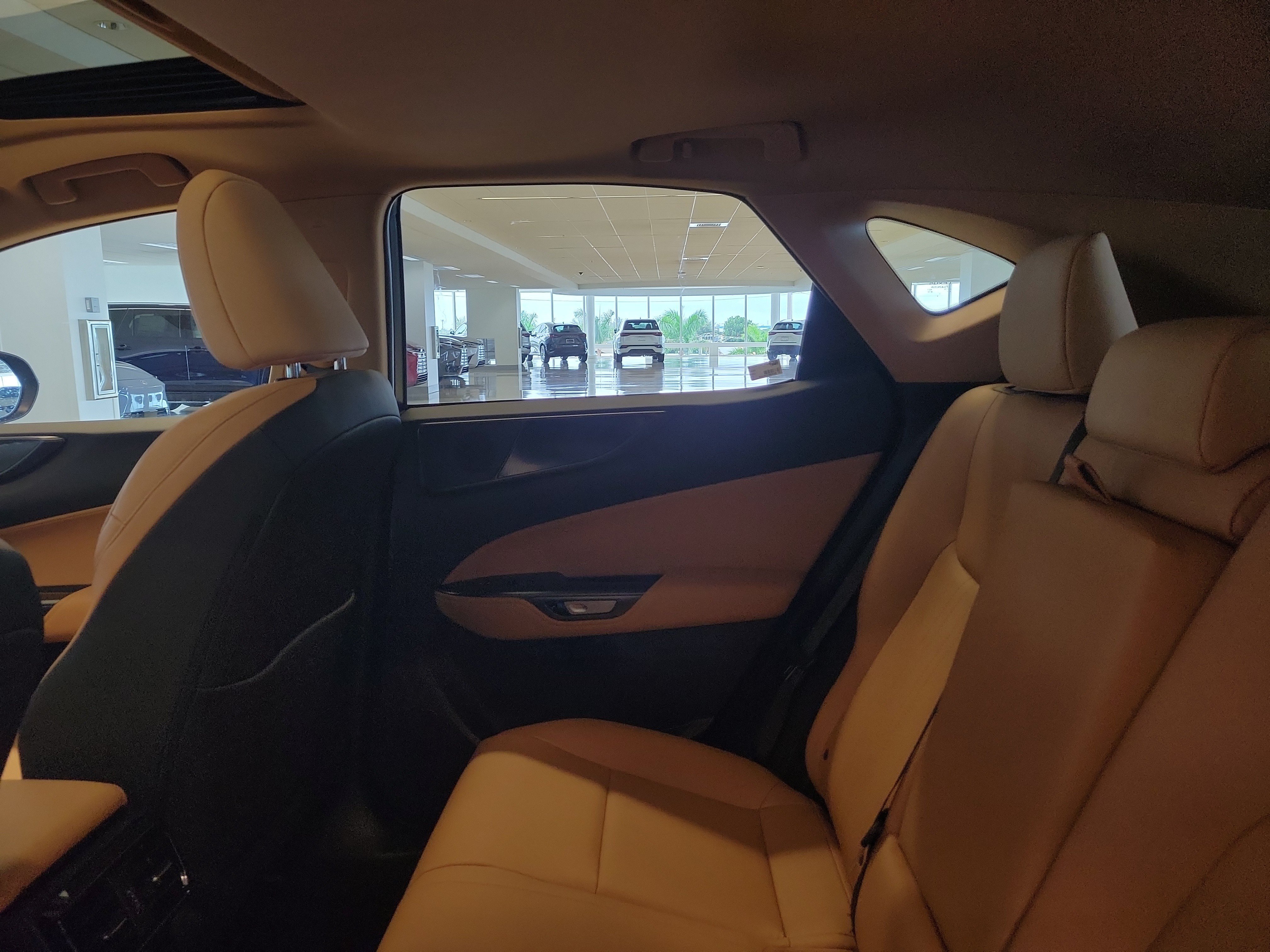 Used 2026 Lexus NX 350 AWD w/ Cold Area Package image 15