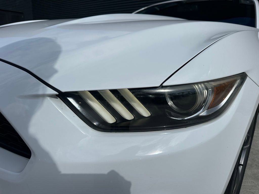 Used 2017 Ford Mustang Premium RWD image 14