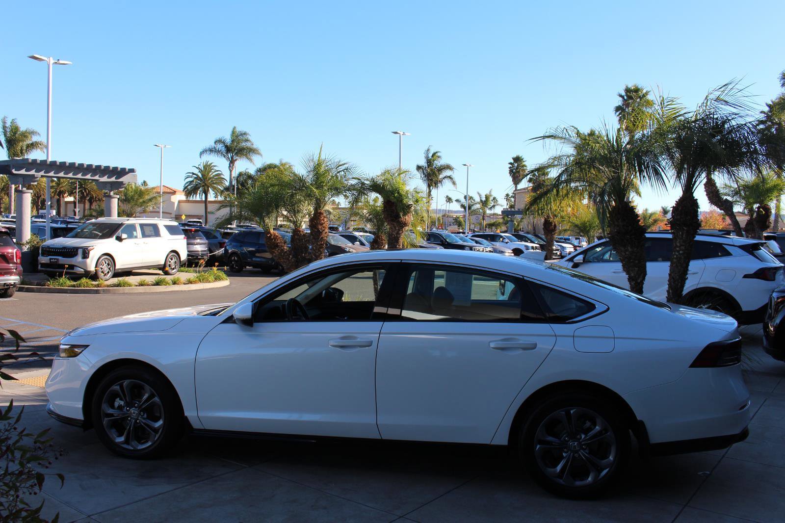 Used 2024 Honda Accord EX-L image 6