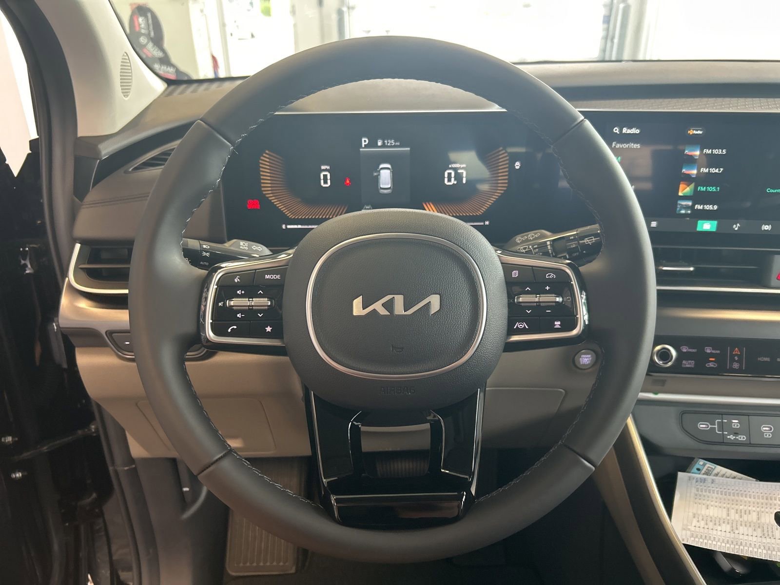 New 2025 Kia Carnival image 21