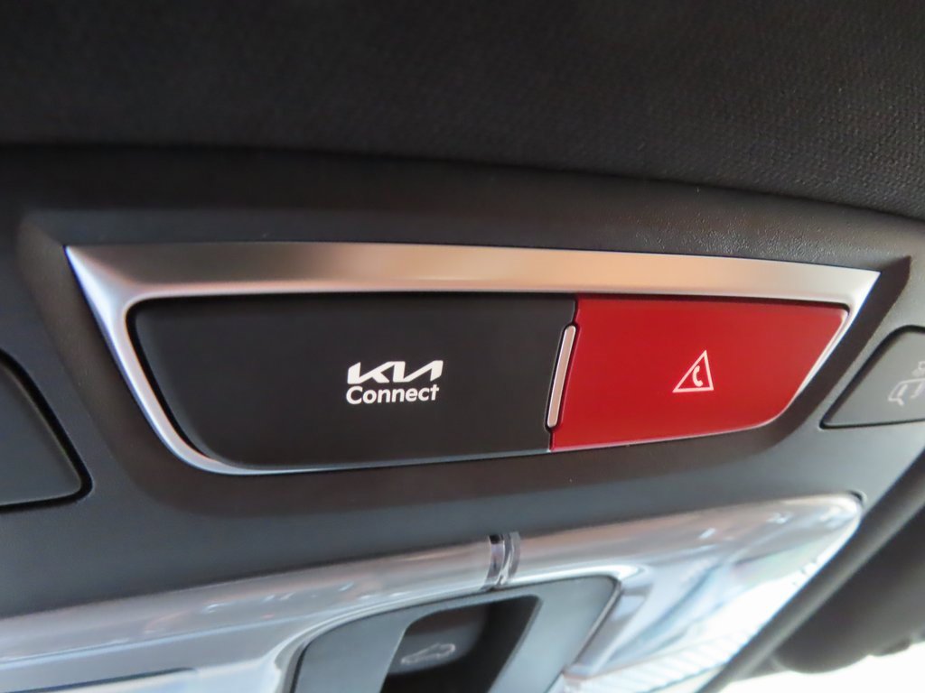 New 2025 Kia Telluride EX X-Line image 14