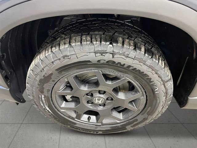 New 2026 Honda Pilot TrailSport image 11