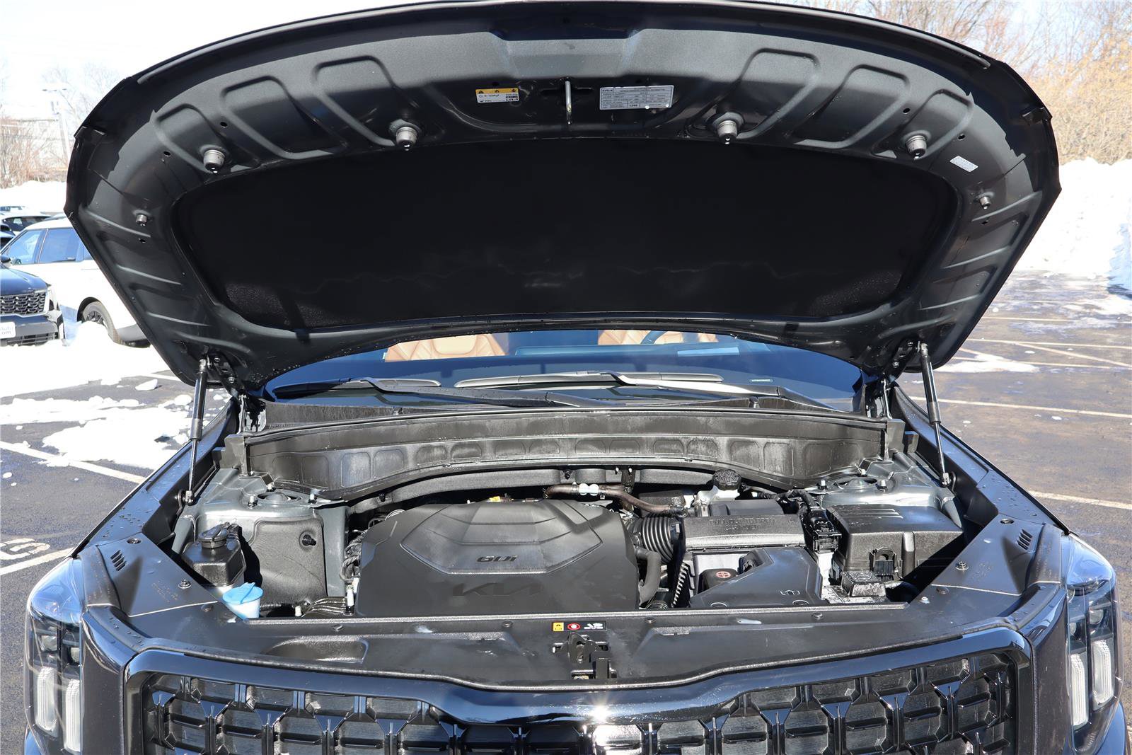 Used 2025 Kia Telluride SX Prestige X-Line image 10