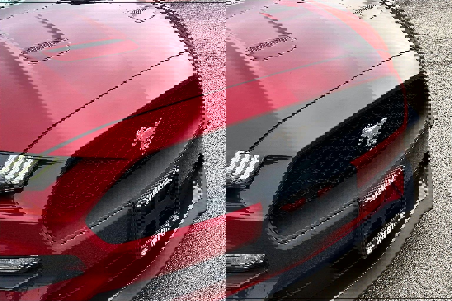 Used 2019 Ford Mustang EcoBoost image 28