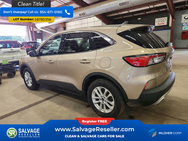 Used 2020 Ford Escape SE AWD/4WD image 3