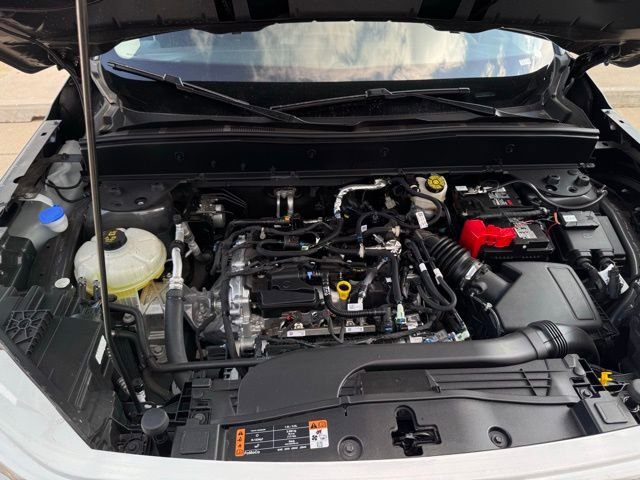 Used 2024 Ford Bronco Sport Heritage w/ Heritage Convenience Package image 15