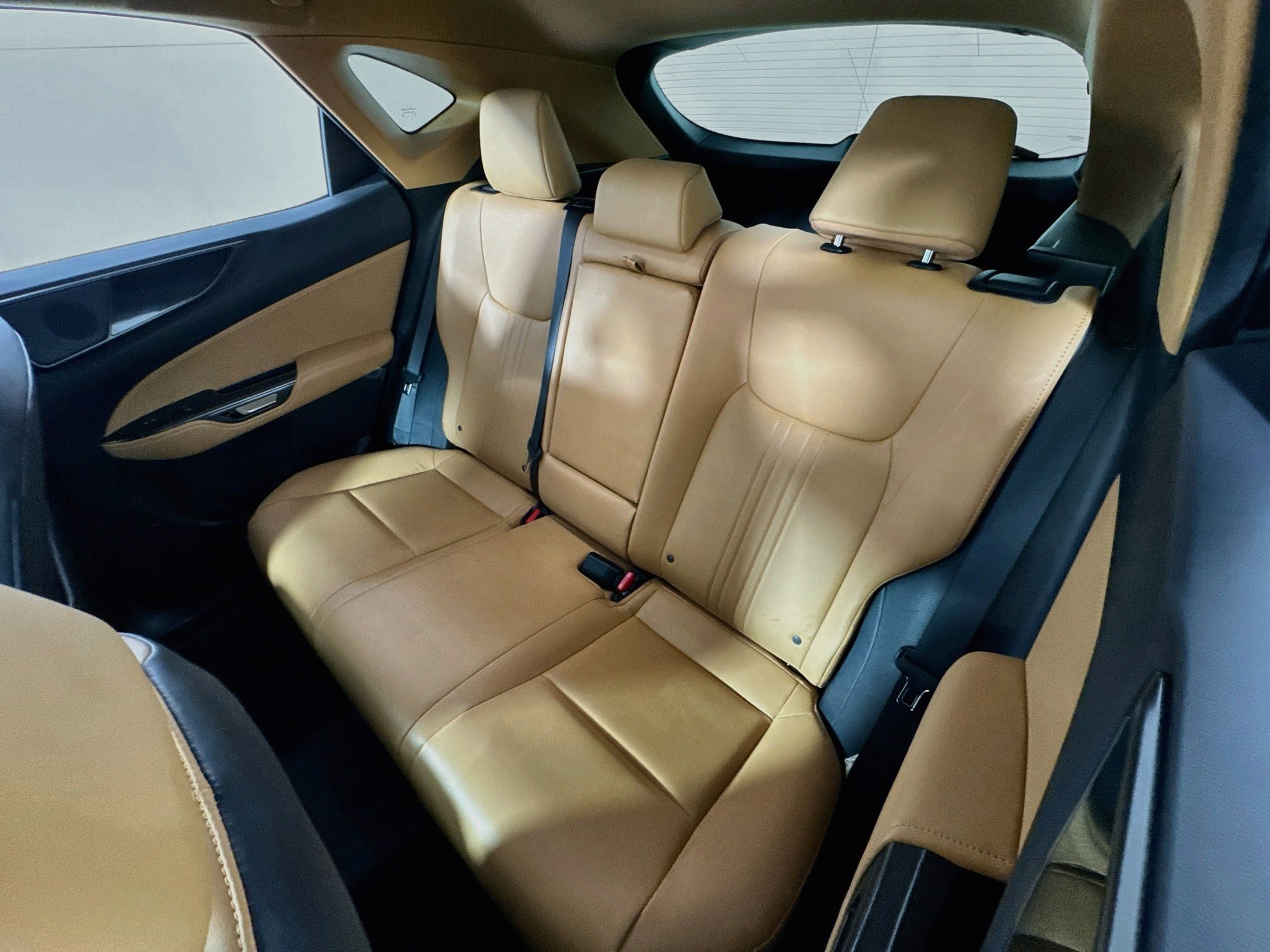 Used 2024 Lexus NX 350 AWD w/ Cold Area Package image 20