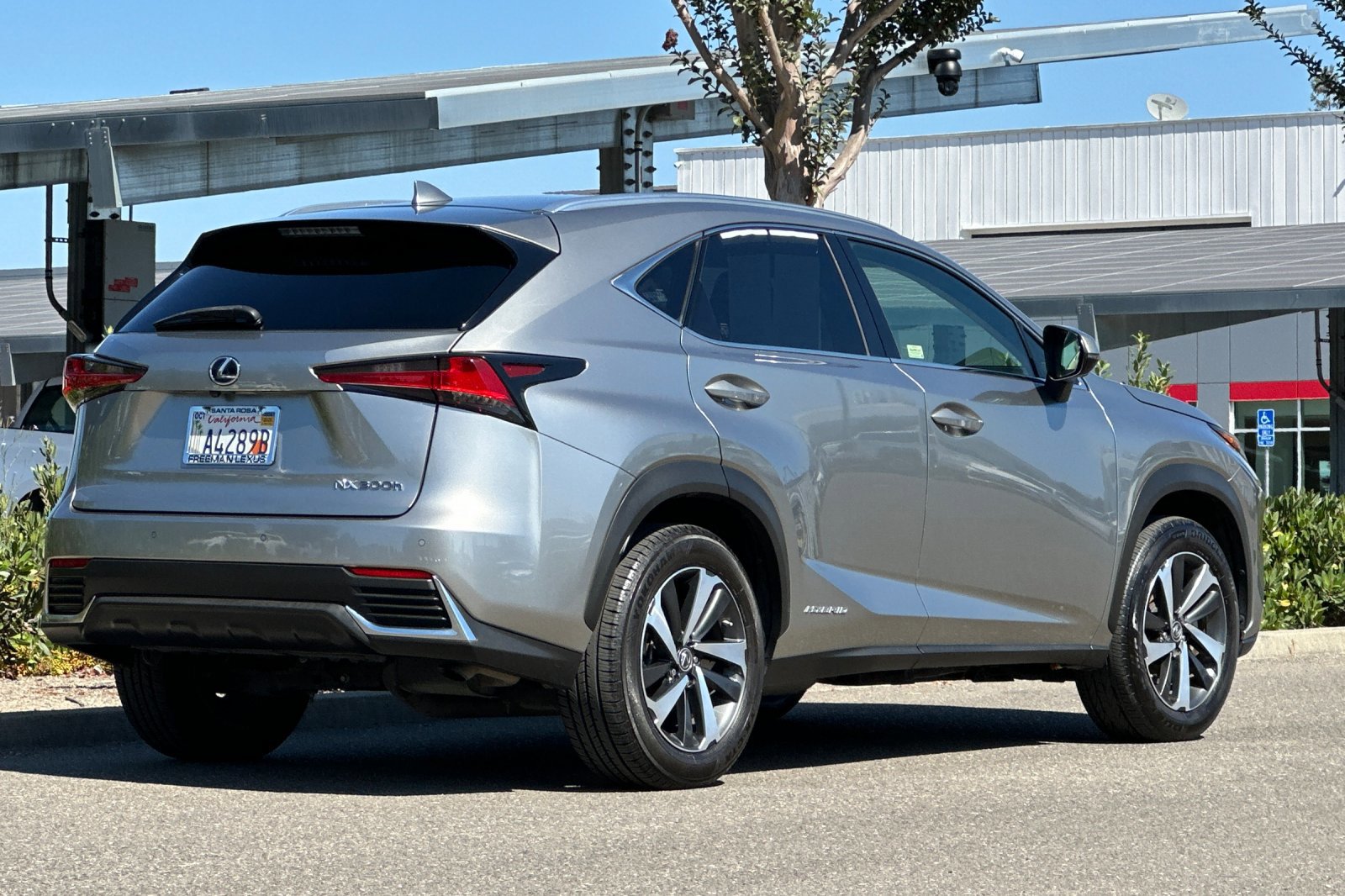 Used 2020 Lexus NX 300h AWD w/ Premium Package image 4
