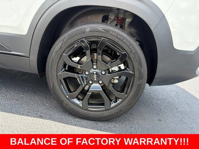 Used 2024 Kia Seltos X-Line AWD/4WD image 10