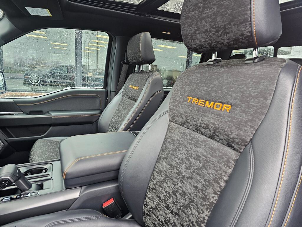 Certified 2025 Ford F150 Tremor AWD/4WD image 19