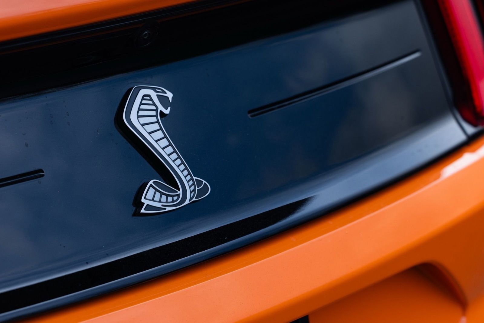 Used 2021 Ford Mustang Shelby GT500 RWD image 9