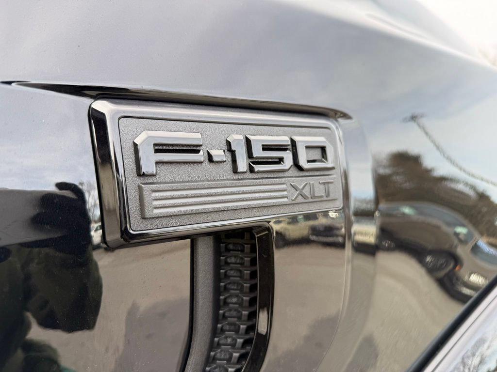 New 2025 Ford F150 XLT w/ Equipment Group 303A High AWD/4WD image 11