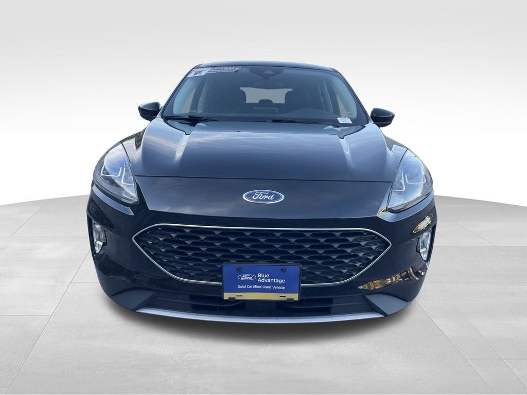 Certified 2022 Ford Escape SEL image 7