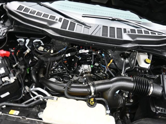 Used 2025 Ford F150 XLT w/ Equipment Group 301A Standard image 30