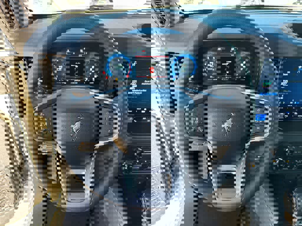 New 2025 Ford Bronco 4-Door image 21